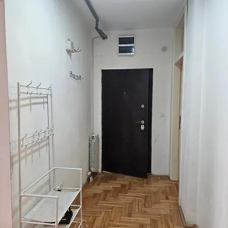 Suit 33 * Belgrade